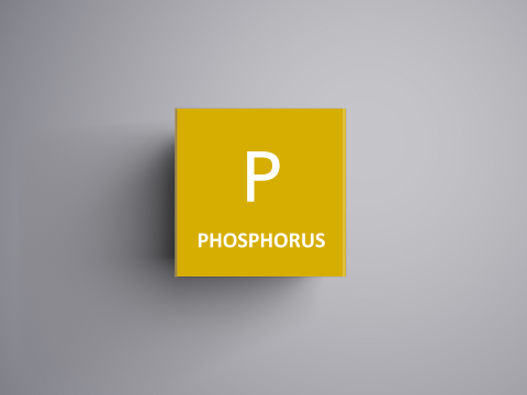 Phosphore (P)
